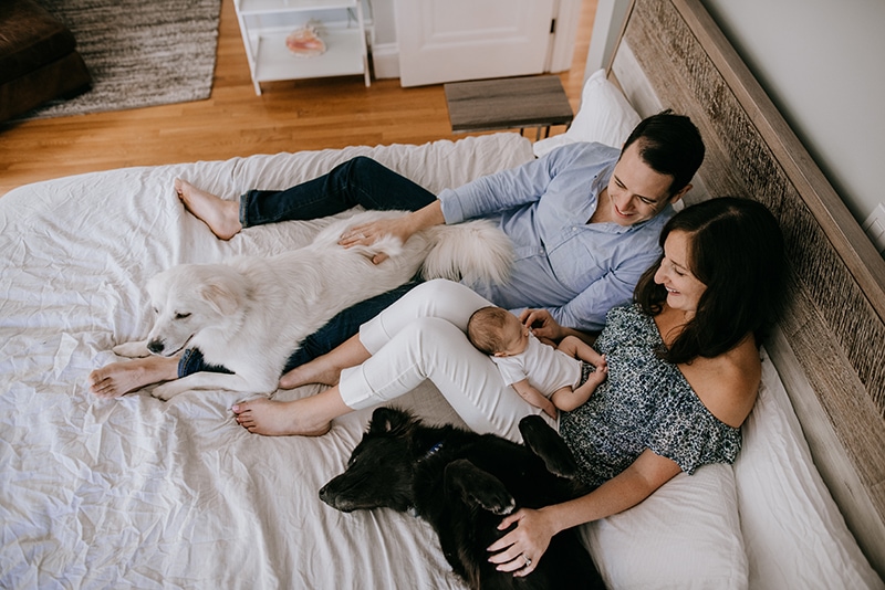 family of 3 snuggles on a bed with newborn baby and two dogs