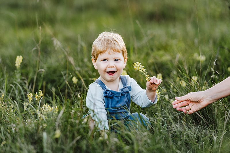 toddler boy holds yellow flower while sitting in the grass in a field in Belmont, MA