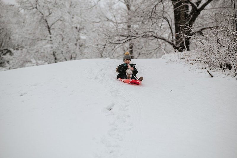 young boy sledding down a hill on a red sled at the Paine Estate in Waltham