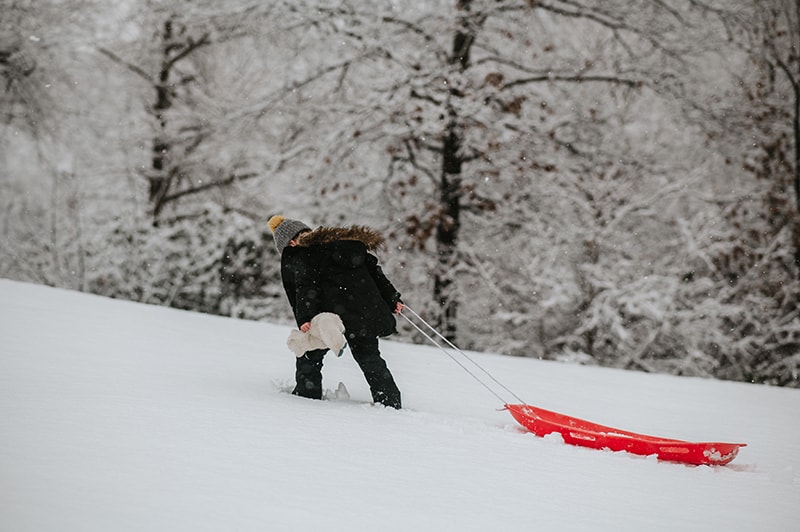 young boy pulls red sled up a hill at Waltham's Paine Estate
